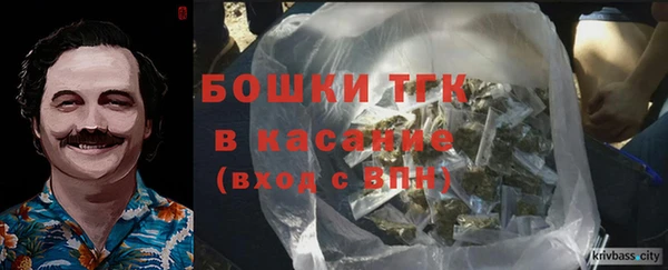 мдпв Горно-Алтайск