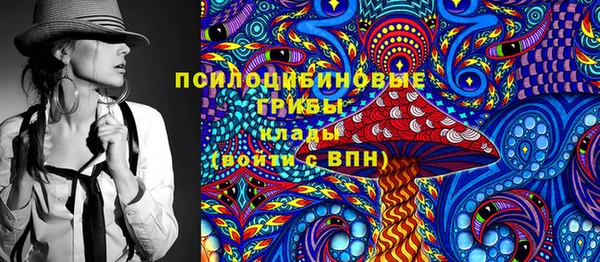 первитин Гусев