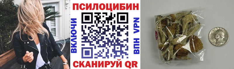 Псилоцибиновые грибы Cubensis  Купить закладки  Калтан 